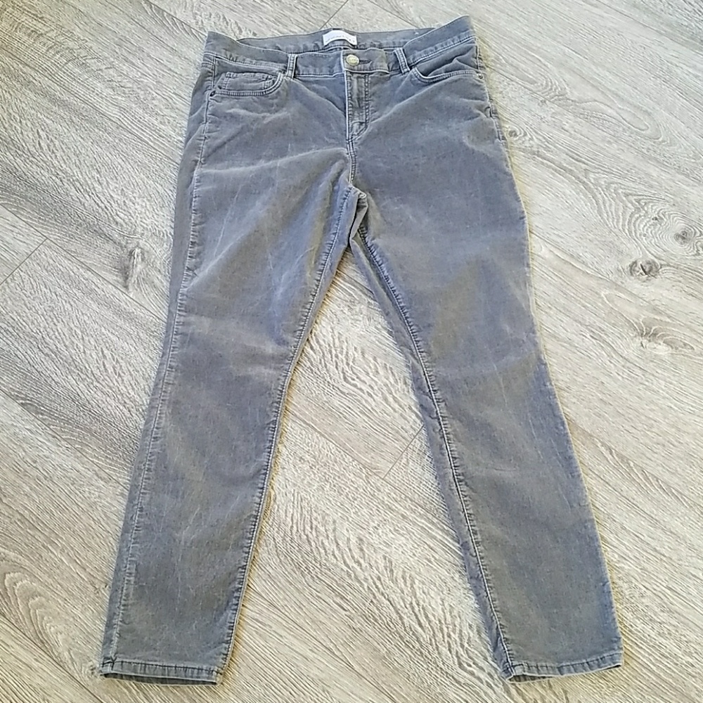 Loft Modern Skinny Velvety Pant